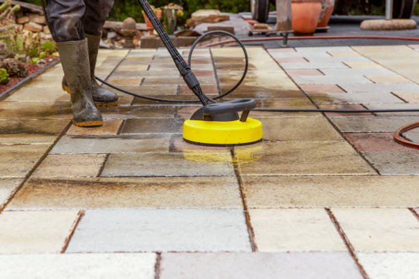 Best Animal Enclosure Cleaning  in Santa Nella, CA
